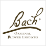 Bach