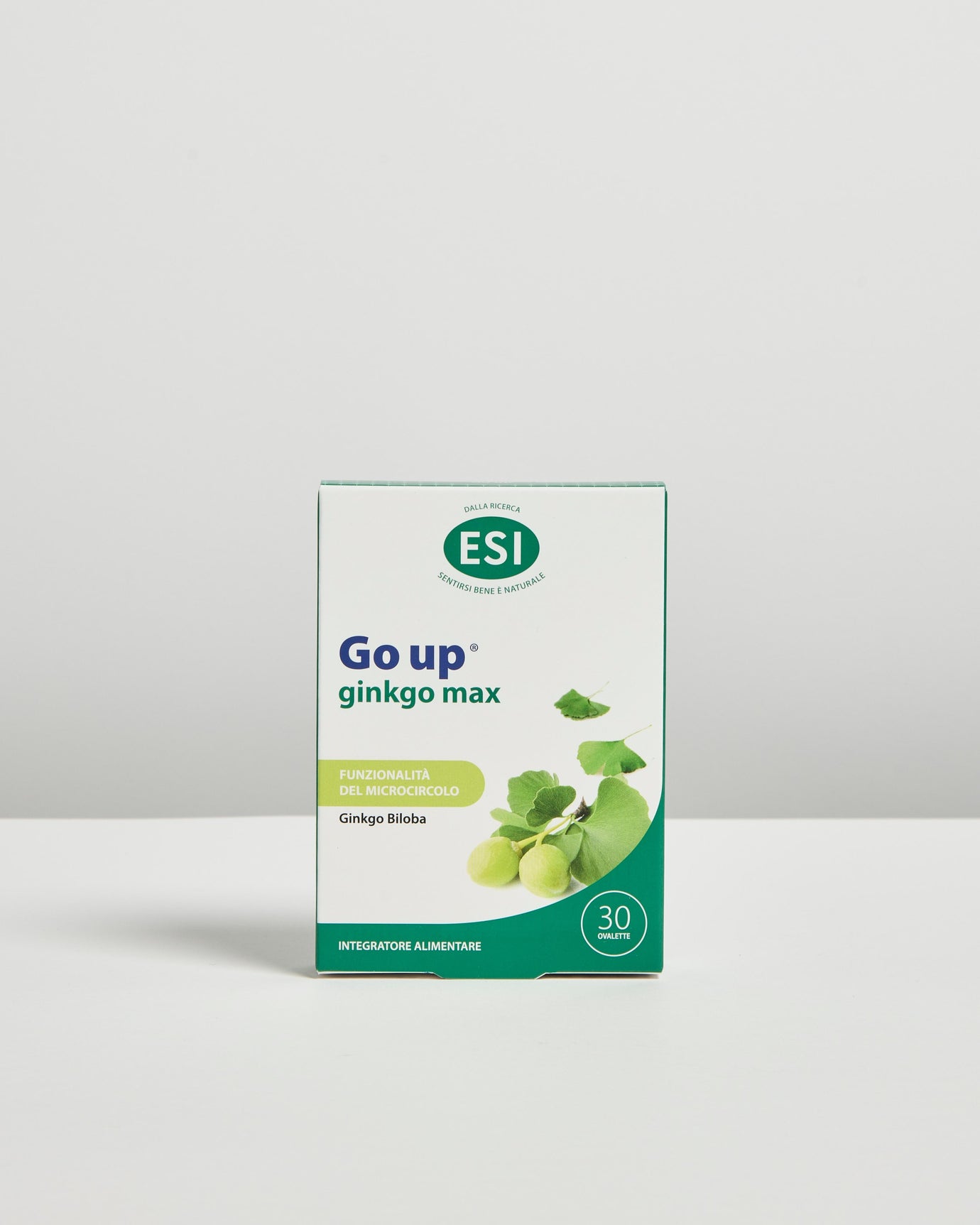 Embalagem de Go Up GinkgoMax 30 Comprimidos